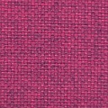 HT0019 var.19